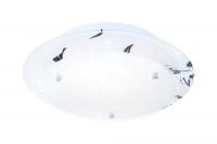 Накладной светильник Globo Claire 48077