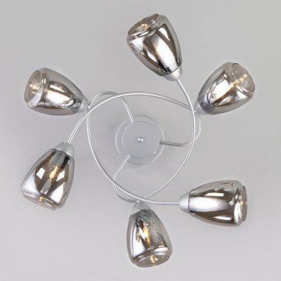 Потолочная люстра Eurosvet Noemi 30168/6 матовое серебро фото Потолочная люстра Eurosvet Noemi 30168/6 матовое серебро. Фото №2