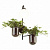Бра Odeon Light Flower 4681/1W
