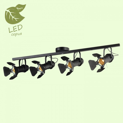 Спот Lussole Thornton GRLSP-8076. Фото