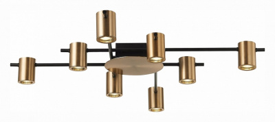 Потолочная люстра ST-Luce Veroli SL1207.402.08. Фото