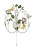 Бра Odeon Light Arelata 2584/1W