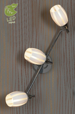 Спот Lussole Brindidi GRLSX-6701-03. Фото