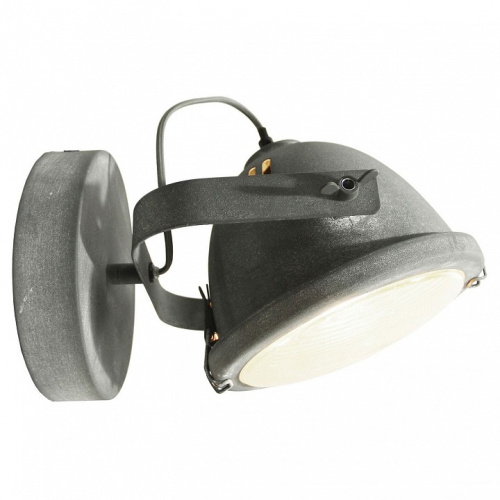 Спот Lussole Brentwood LSP-9880. Фото №1