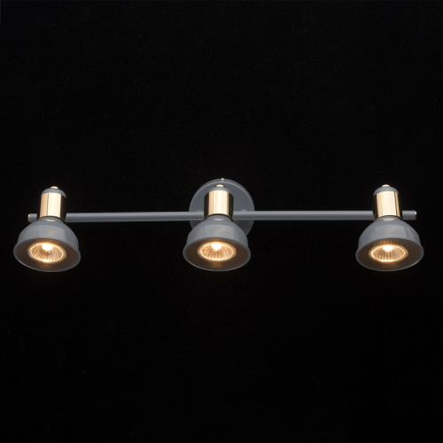 Спот MW-Light Хоф 552020303. Фото №2